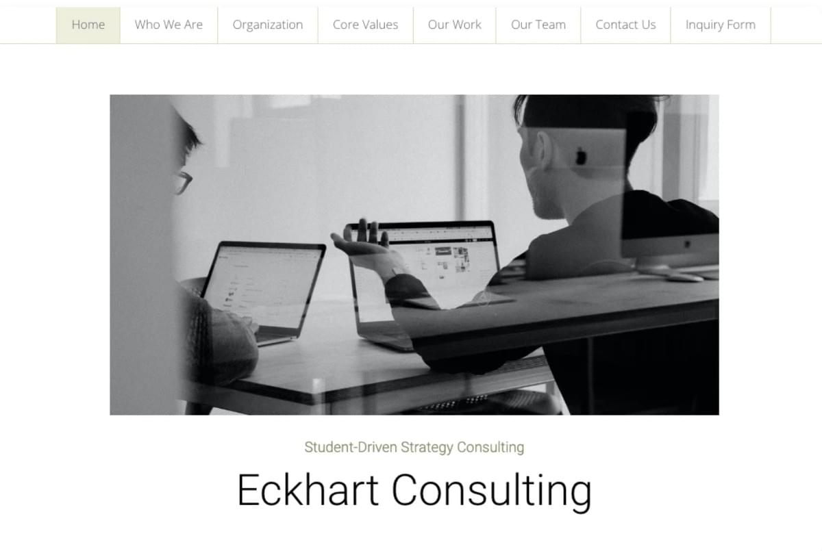 Modelo de Consultoria Eckhart da Strikingly