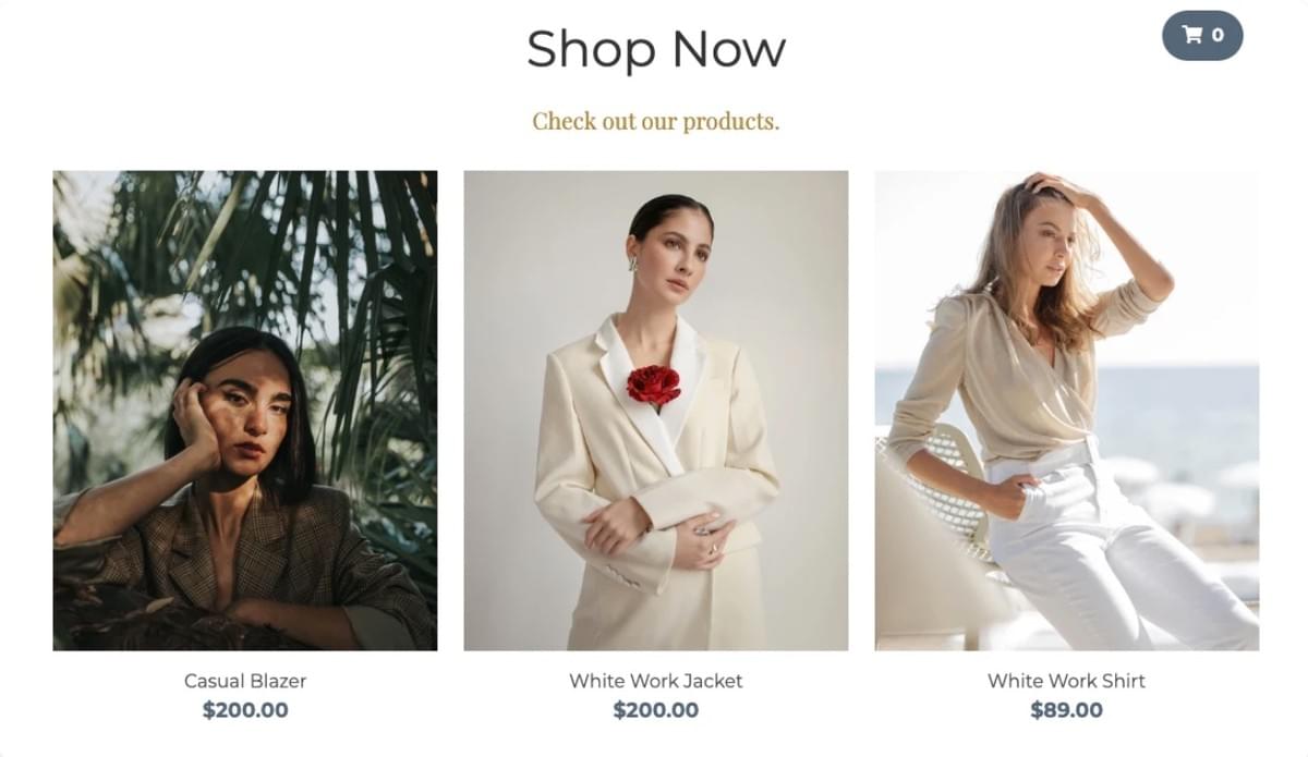 Perspectief Online Winkel Sjabloon