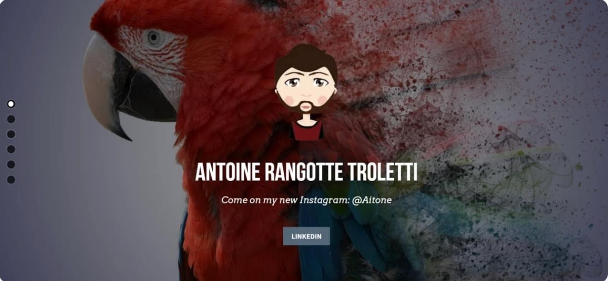 Werbung, die nicht schläft: Überleben und Erfolg in der Website-Werbung