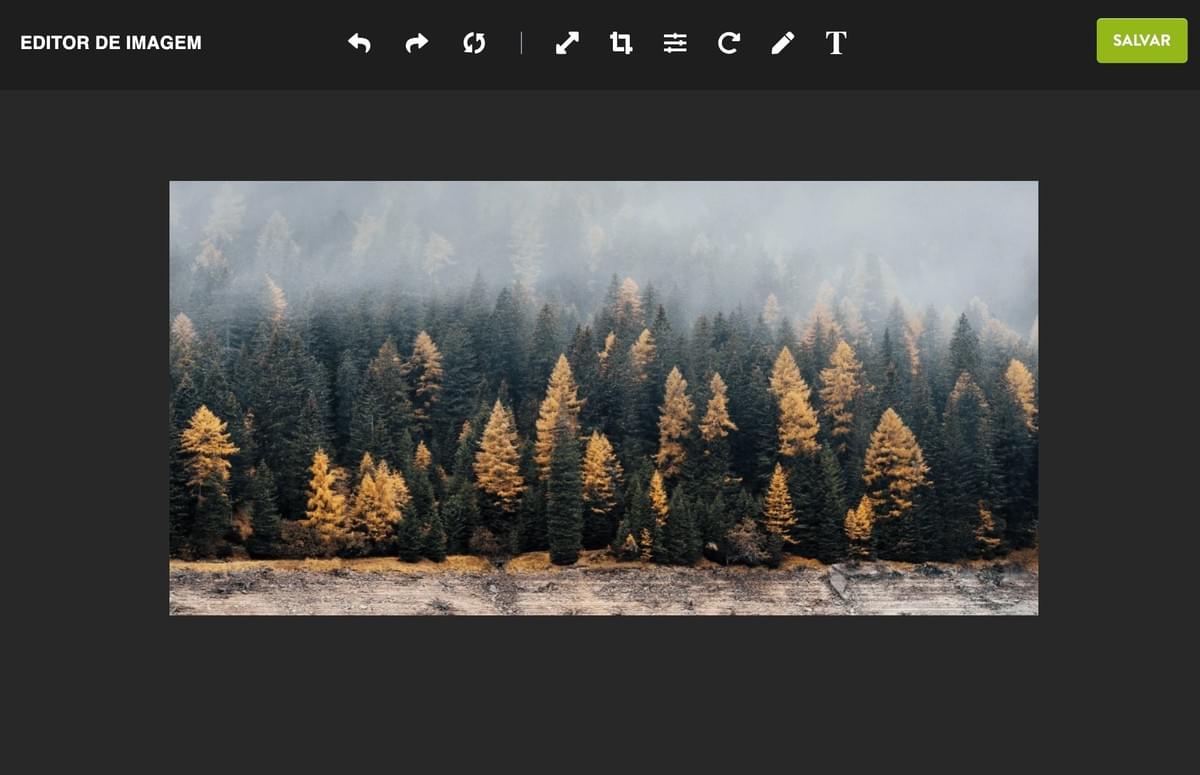 Editor de Fotos Strikingly