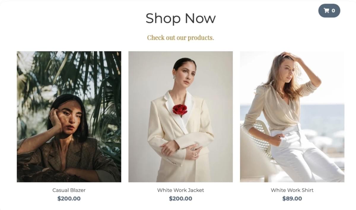 Modelo de Loja Perspectiva