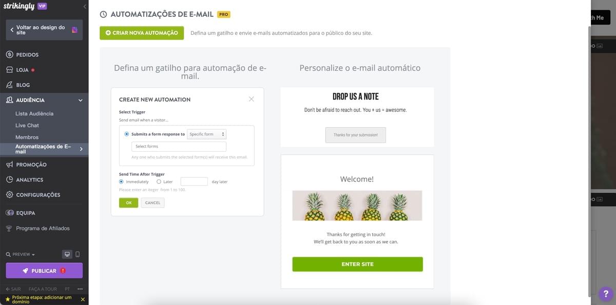 Recurso de E-mail Automático da Strikingly
