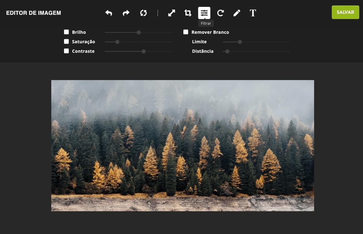 Editor de Fotos Strikingly