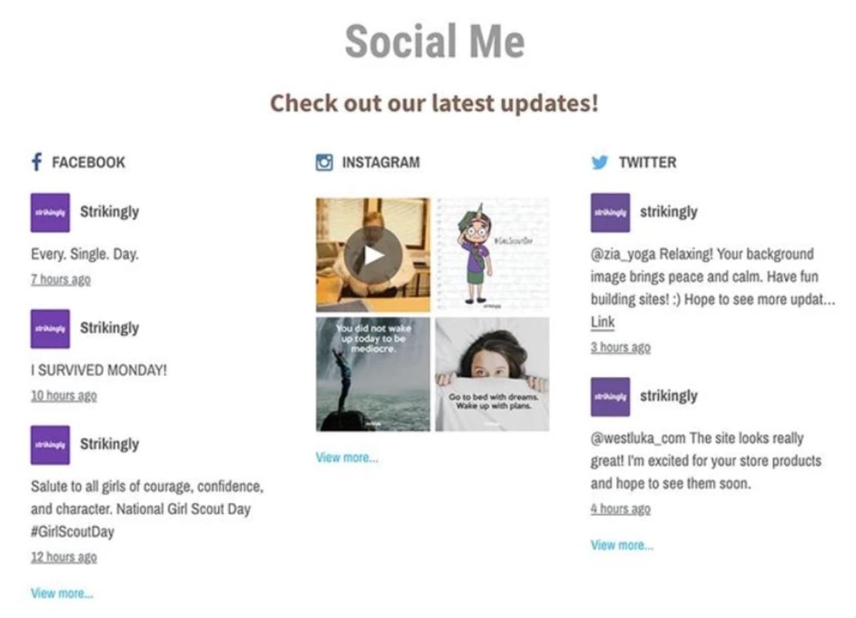 Strikingly Sociale Feed Sectie
