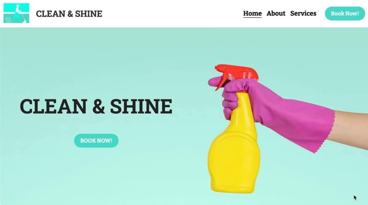 Clean & Shine: Modelo de Serviço Profissional do Strikingly