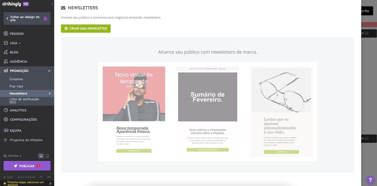 Recurso de Newsletter do Strikingly