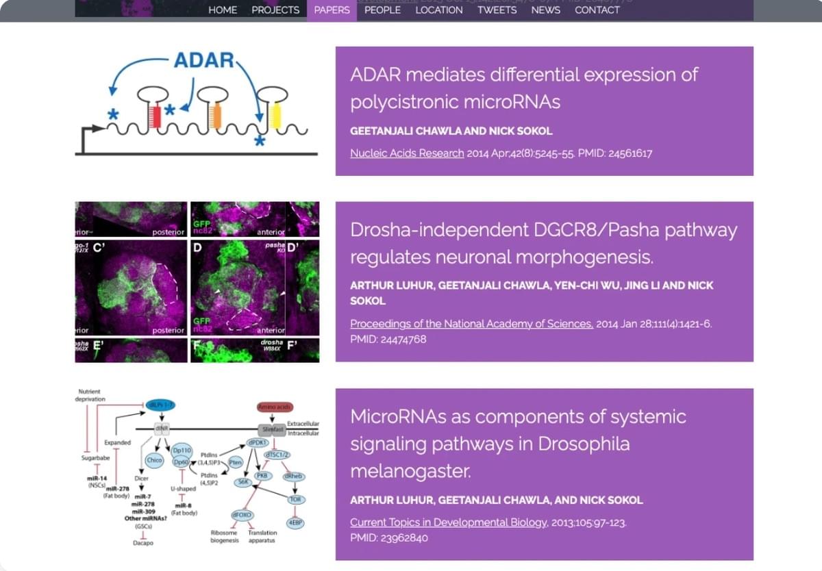 Relatório de vendas para o site Strikingly