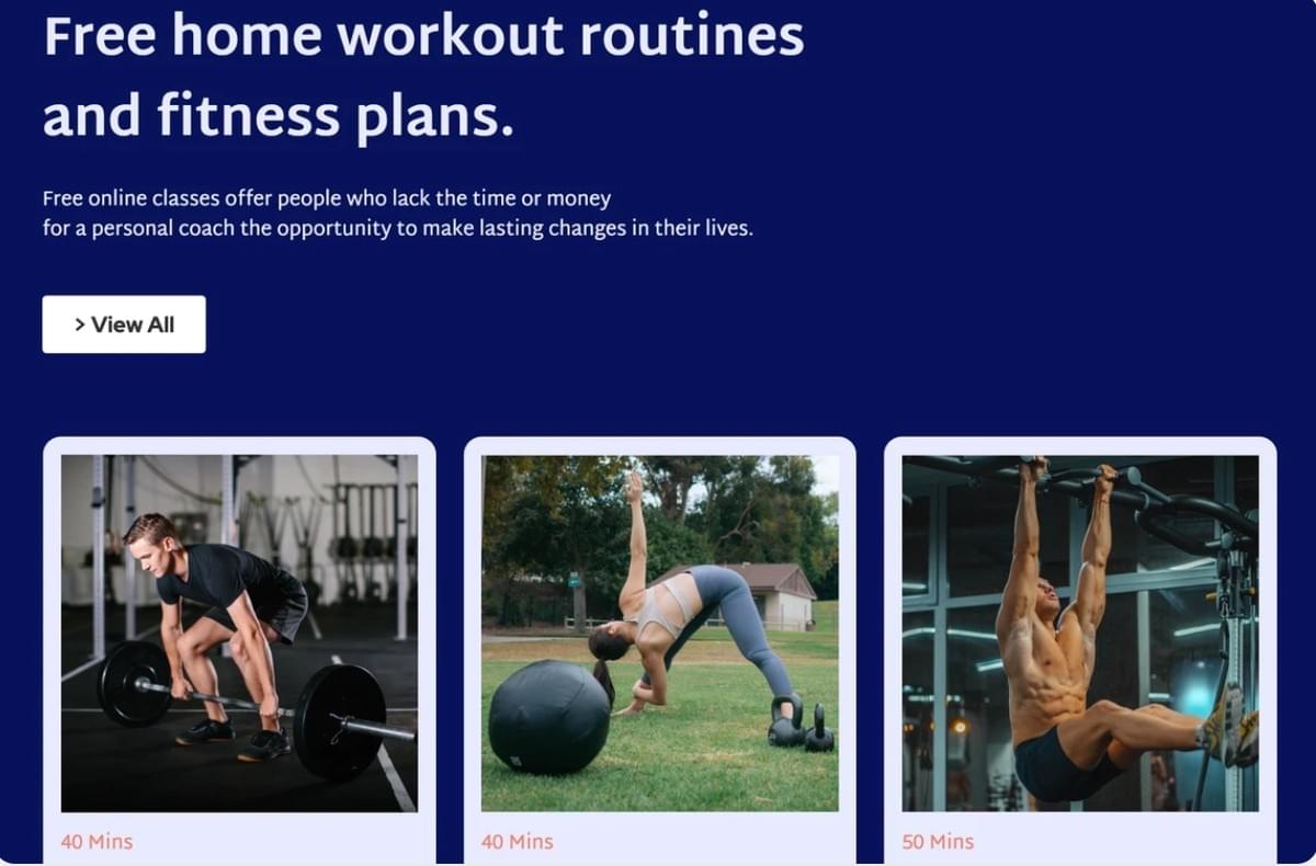 FitForge Sjabloon van Strikingly