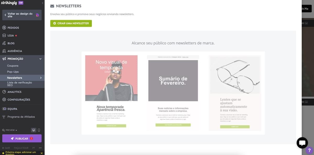 Recurso de Newsletter do Strikingly