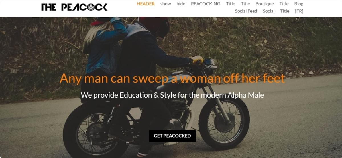 Scrollen, Klicken, Erobern: Die Kunst des Internet-Marketing-Chaos