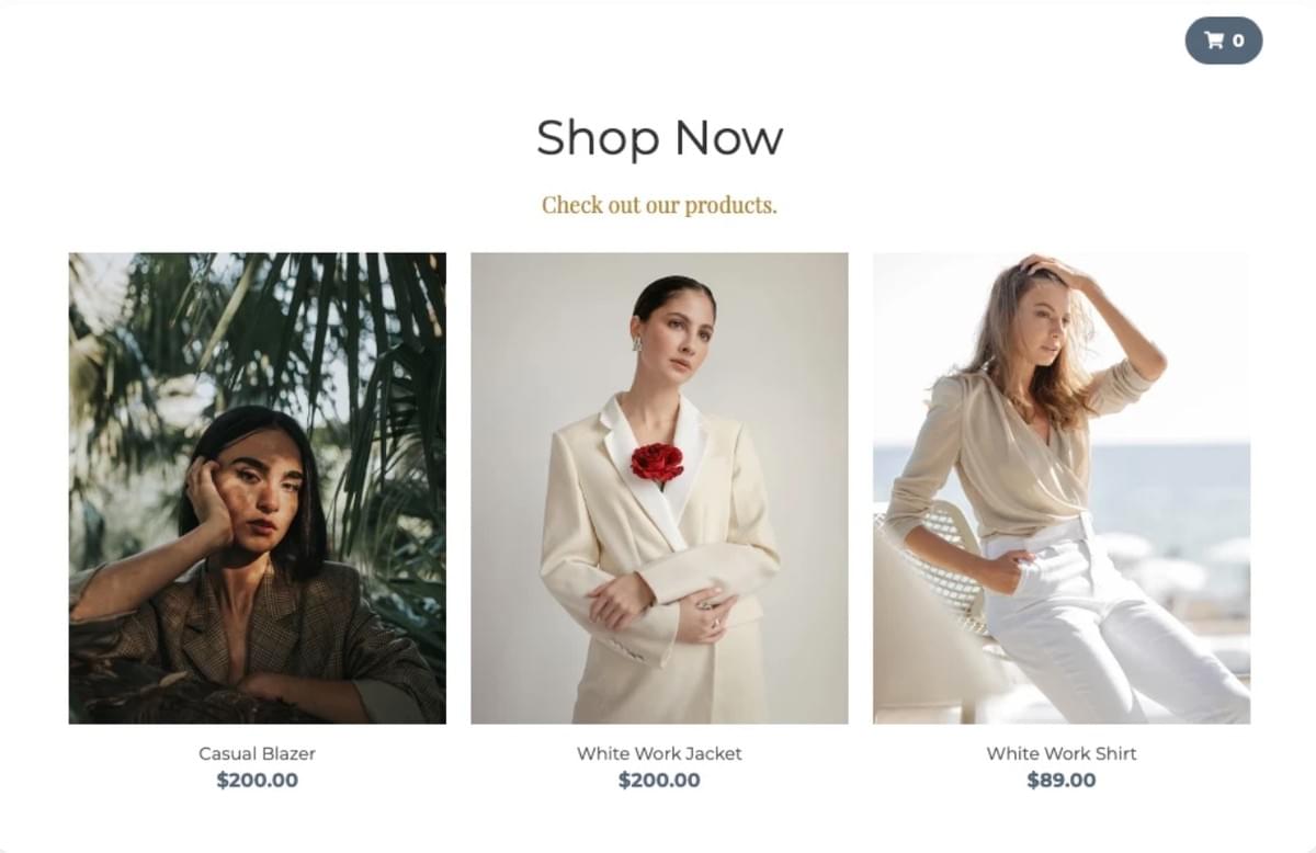 Modelo de Loja Online da Strikingly