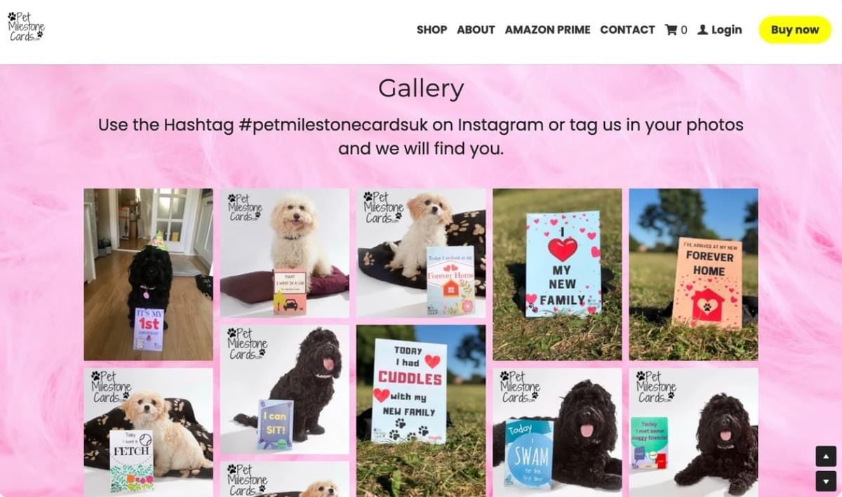 Conteúdo gerado pelo utilizador dos Cartões de Marcos do Desenvolvimento Animal de Estimação