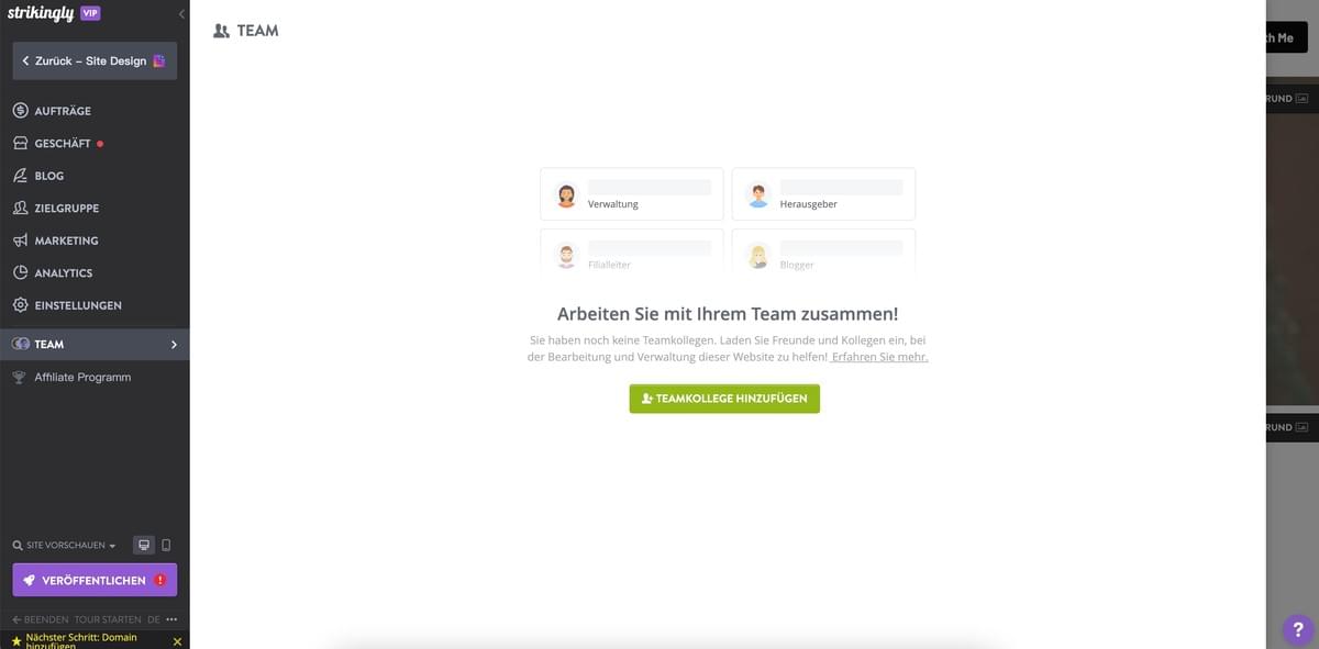 Strikingly Teamfunktion