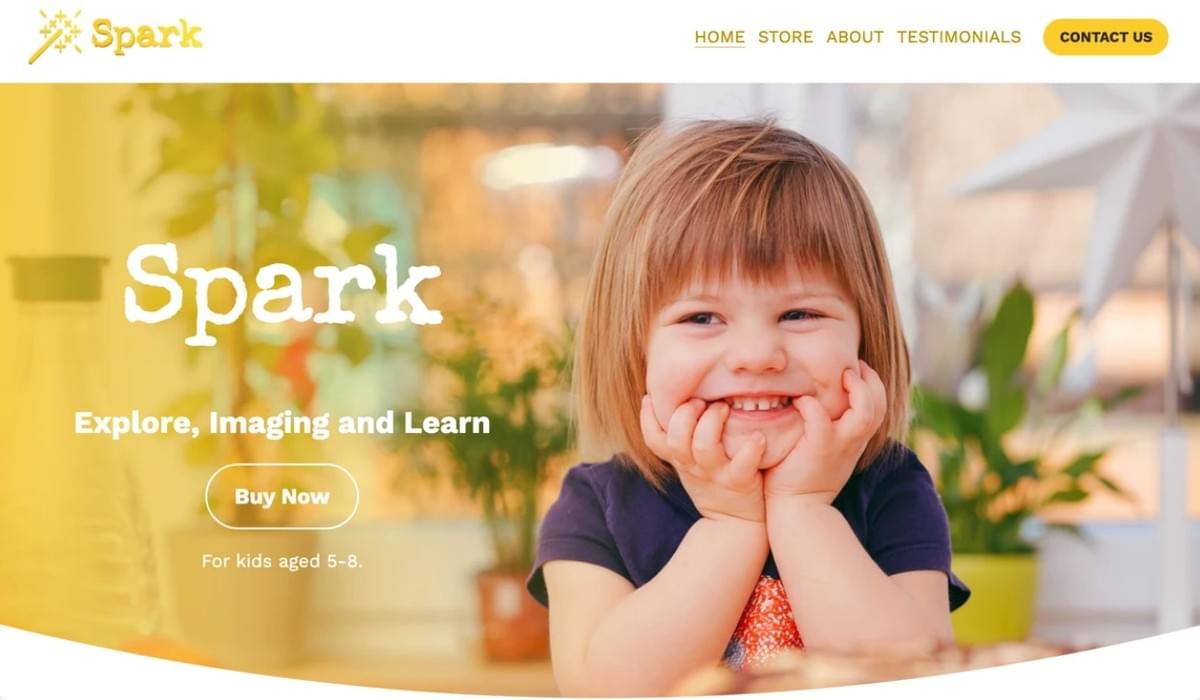 Spark Sjabloon van Strikingly