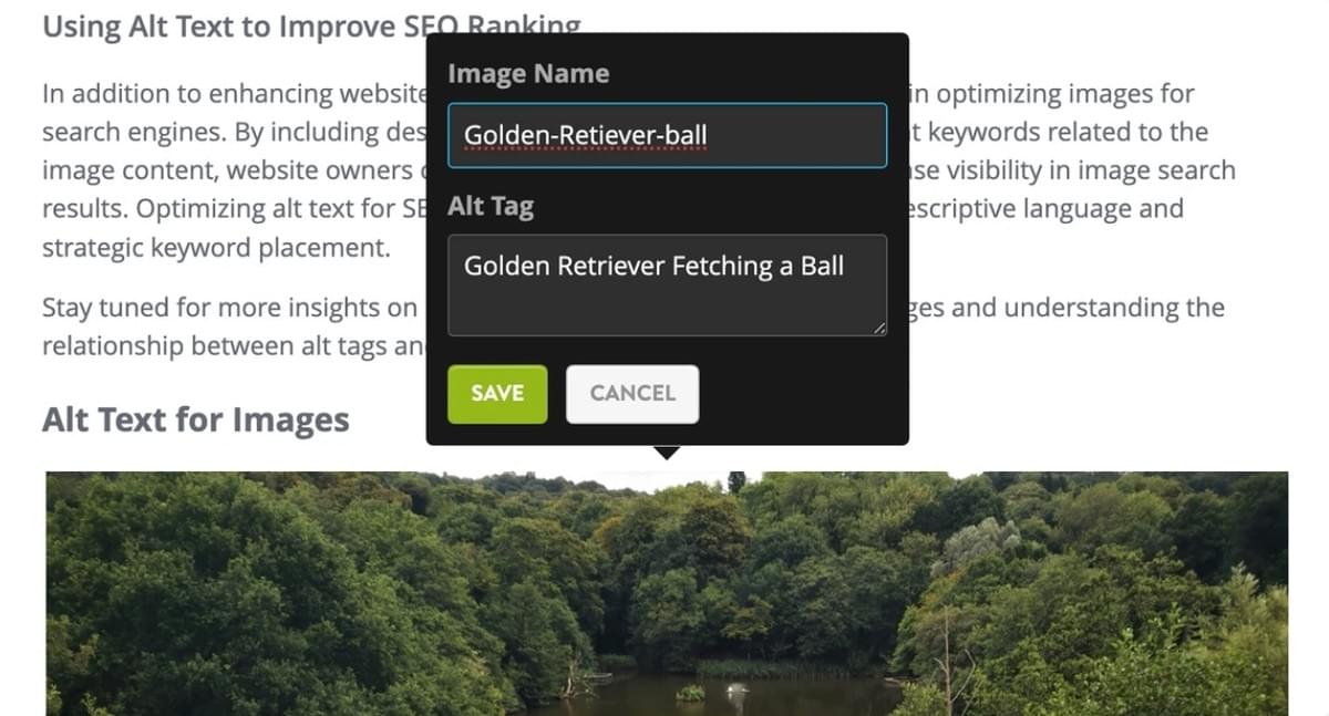 Texto alternativo para imagens de blogues