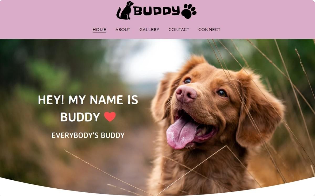 Buddy Template van Strikingly