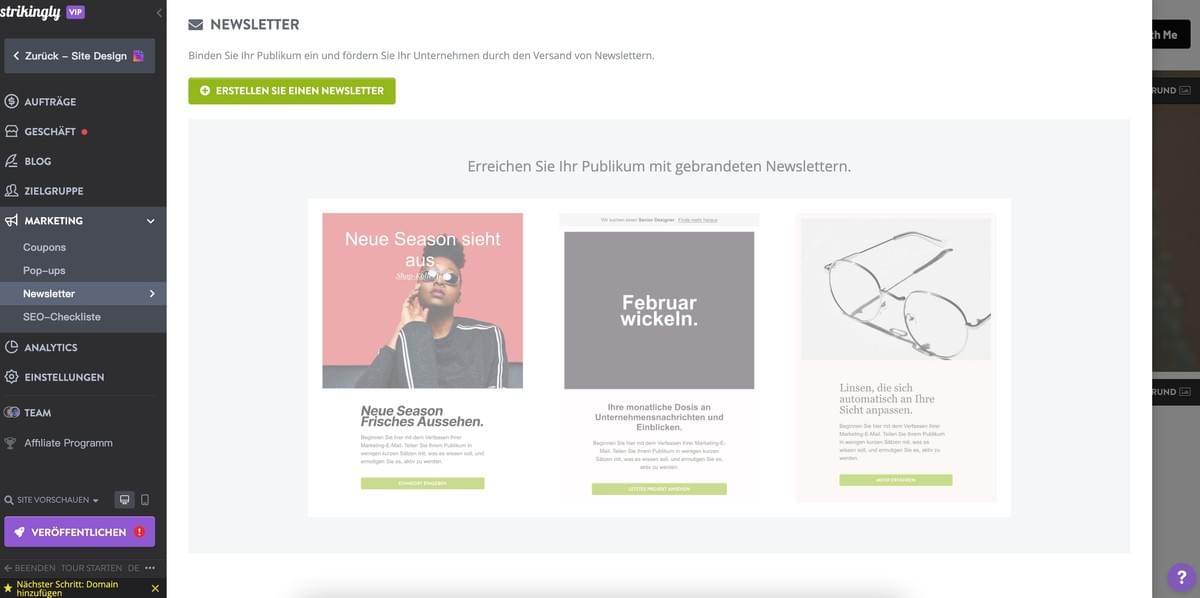 Strikingly Newsletter