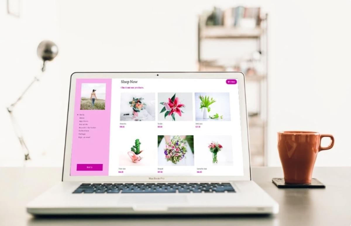 Strikingly Online Winkel
