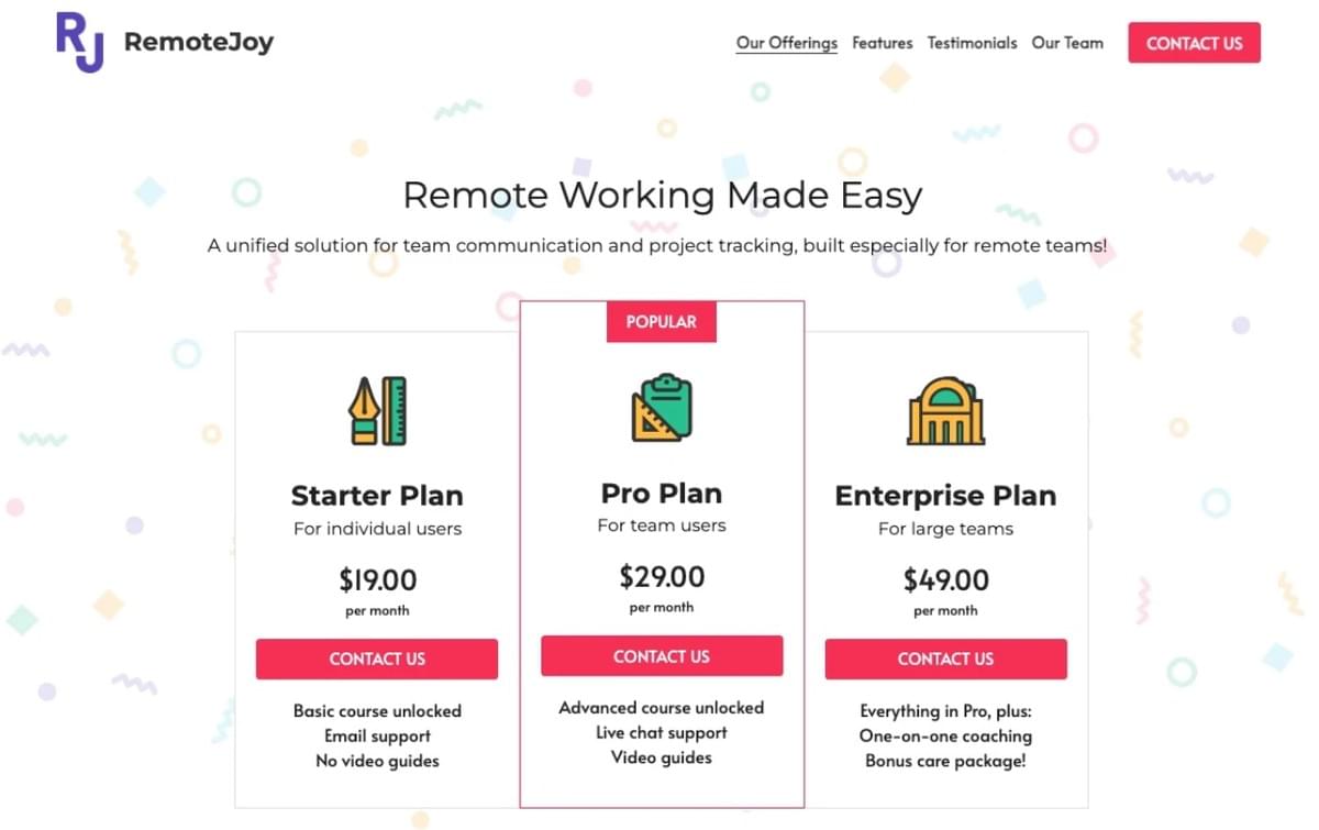 Remote Joy Sjabloon van Strikingly