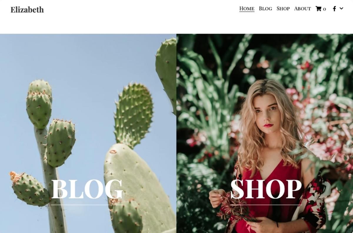 Modelo de blog para retalho de suculentas da Strikingly