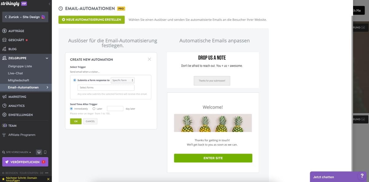 Strikingly E-Mail-Automatisierung Funktion