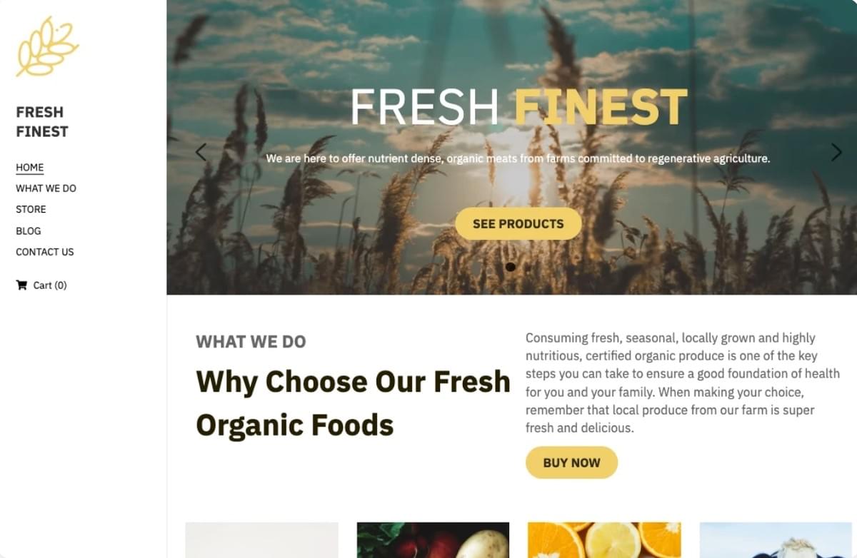 Modelo Fresco e Refinado de E-commerce da Strikingly