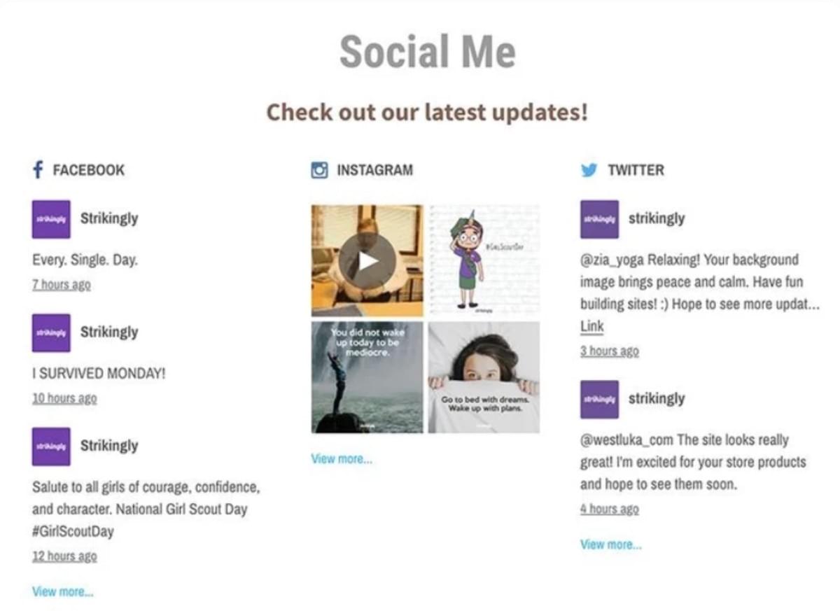 Strikingly Social Feeds Sektion