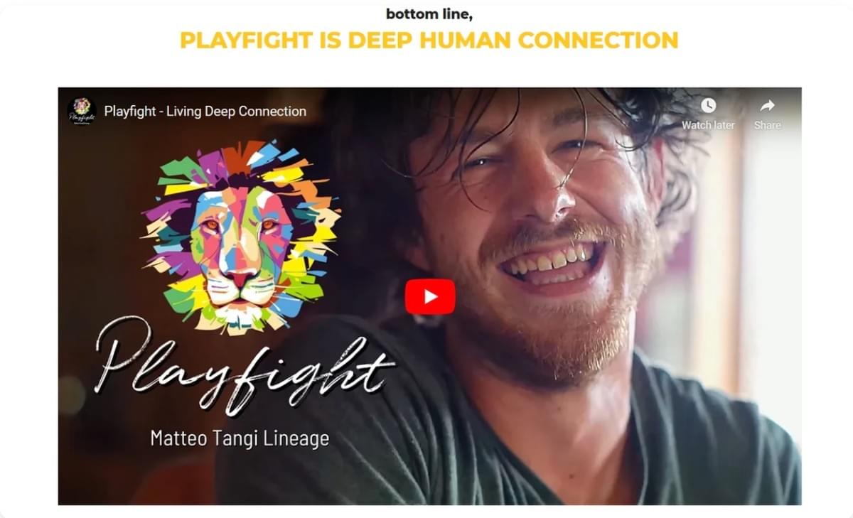 como é o marketing de vídeo no Playfight