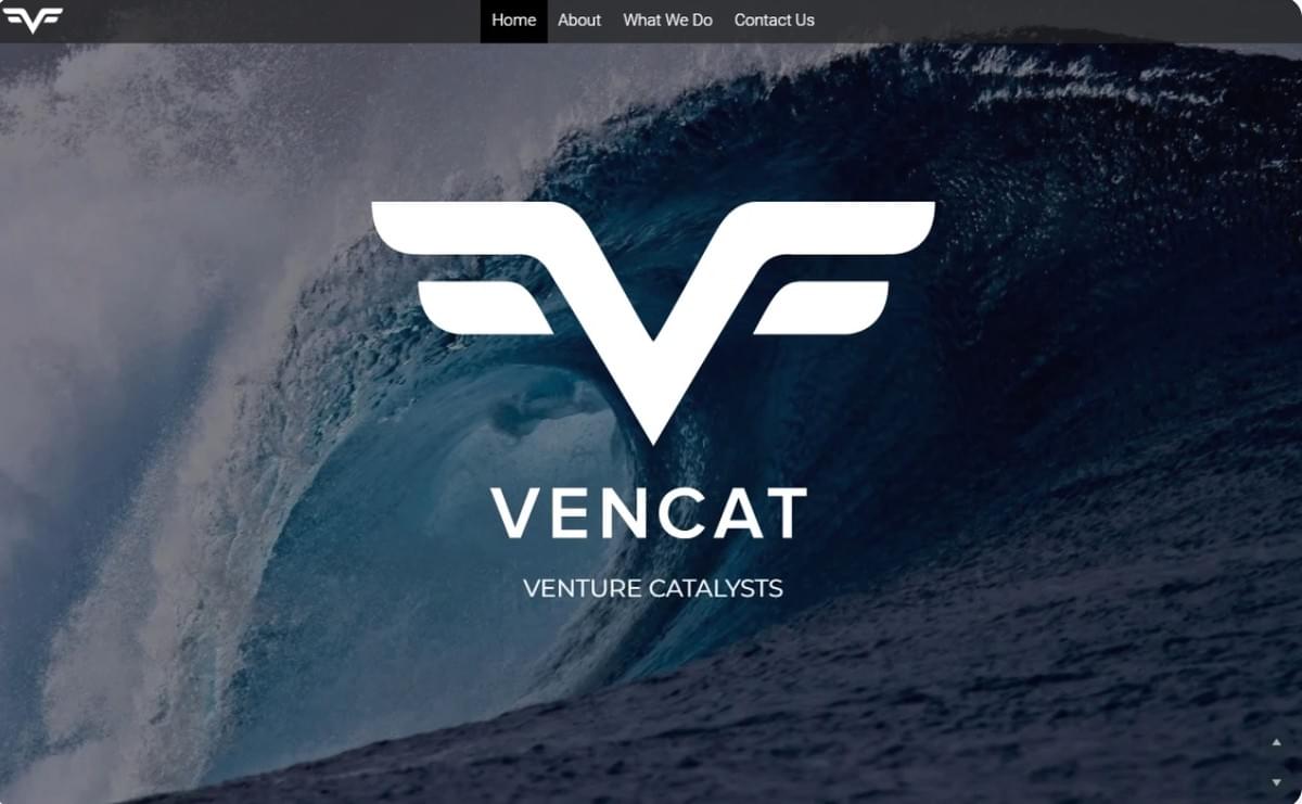 Vencat Capitalist-domeinnaam
