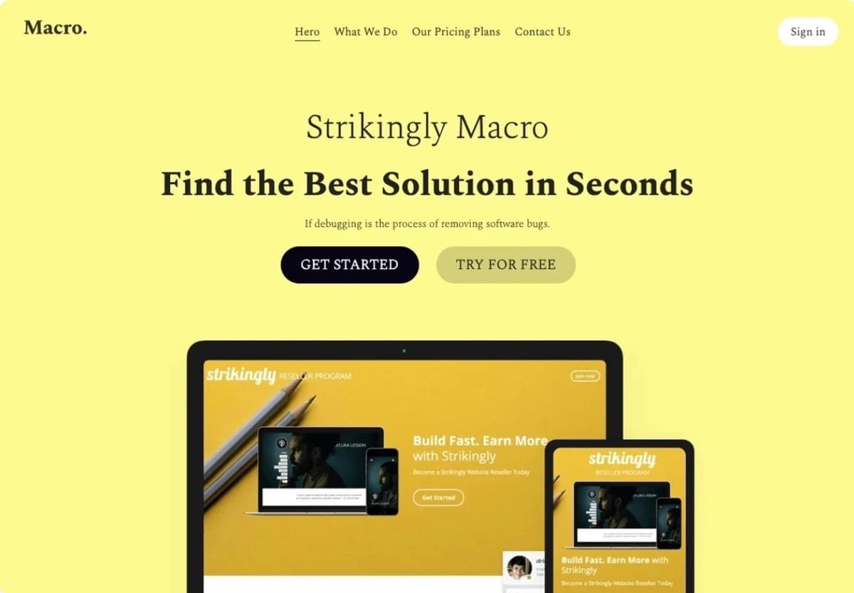Macro Modelo de Website do Strikingly