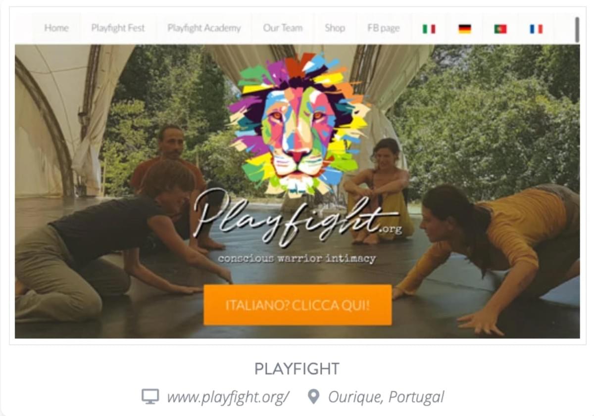 Playfight gratis website domein