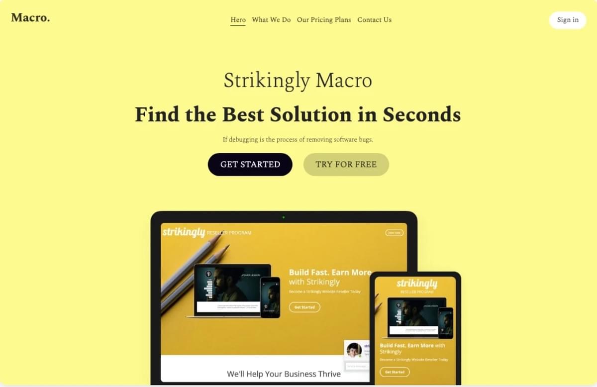 Modelo de macro da Strikingly