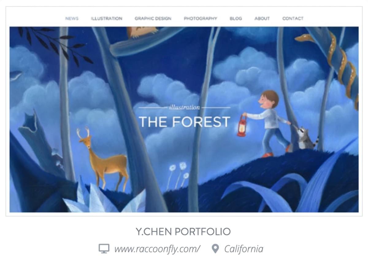 Website van Raccoon Fly met domeinnaam