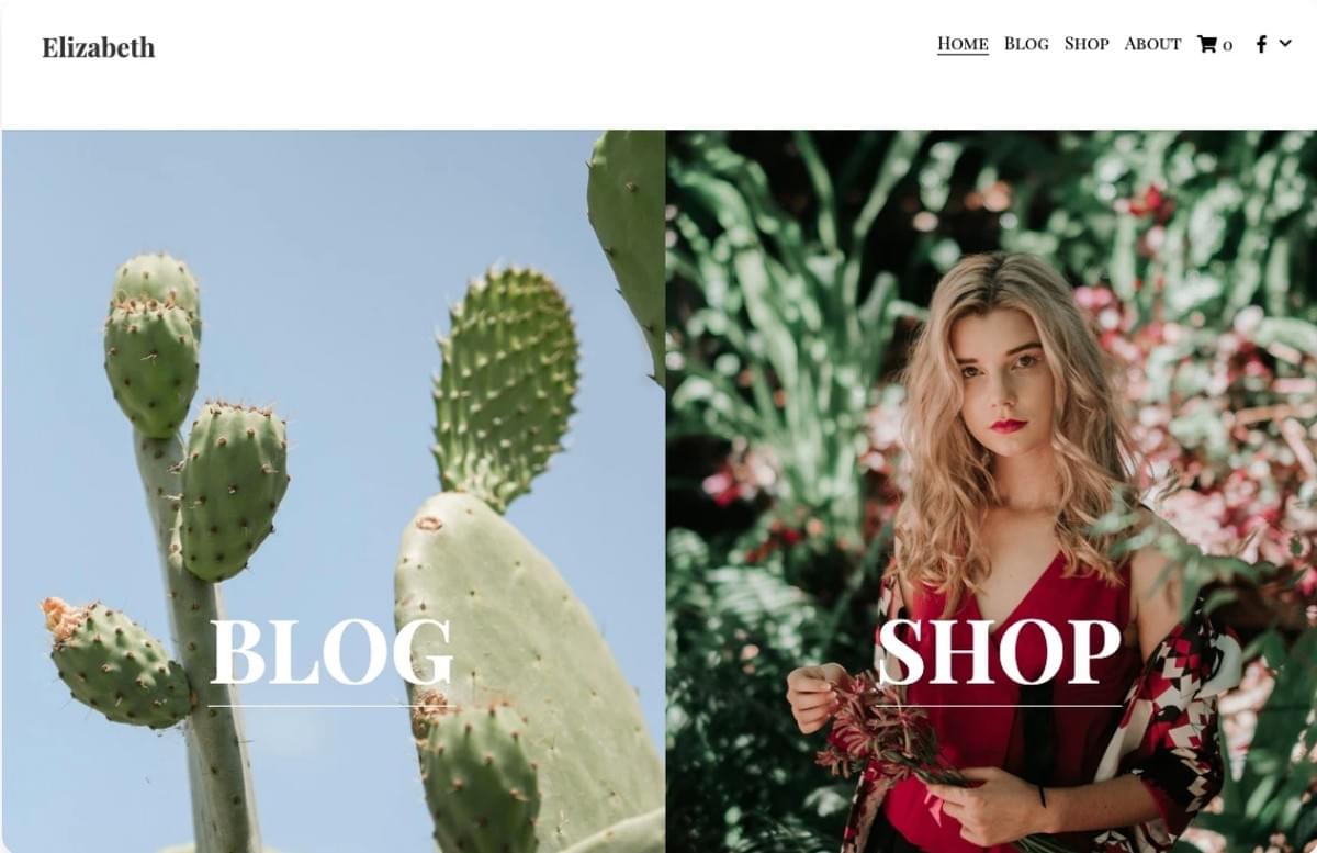 Modelo para o sucesso de um blog de retalho: Succulent Template