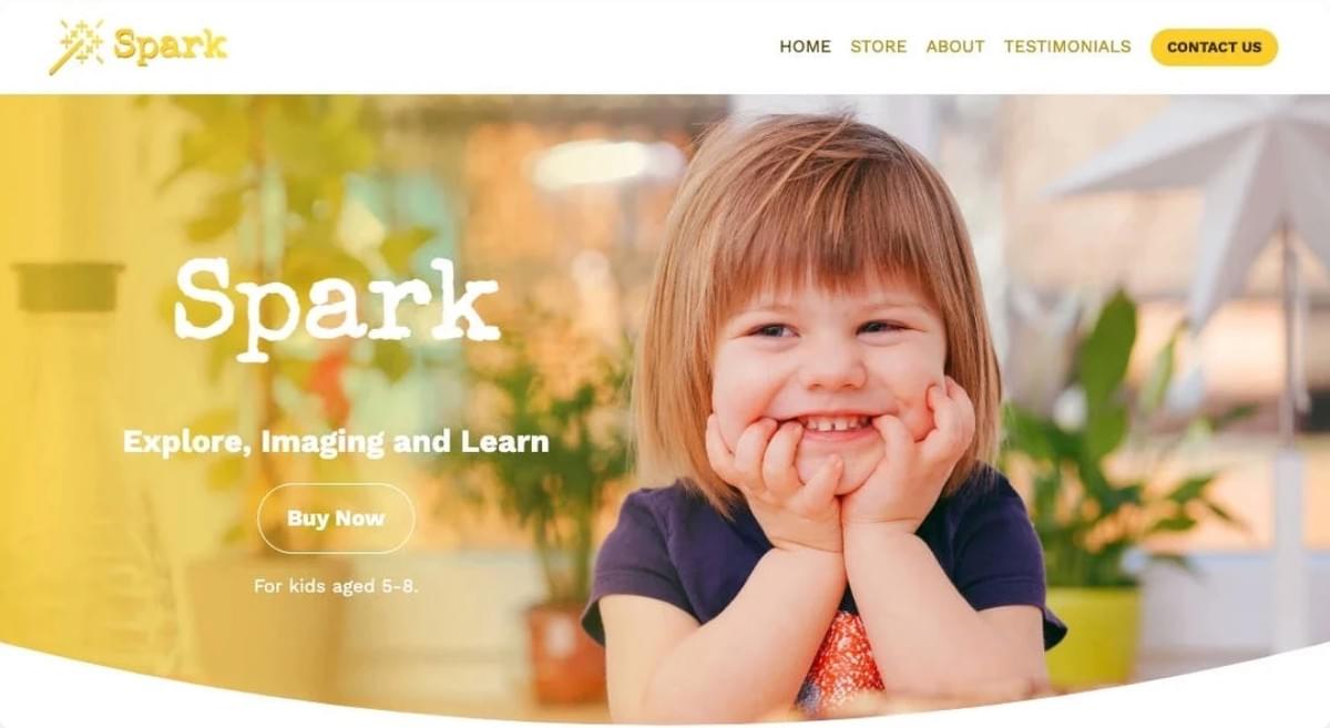 Online Spark Sjabloon van Strikingly