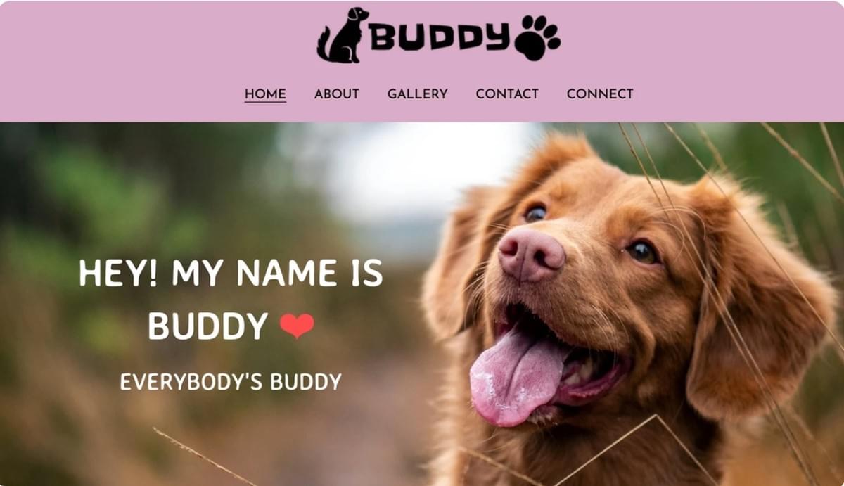 Buddy Sjabloon van Strikingly