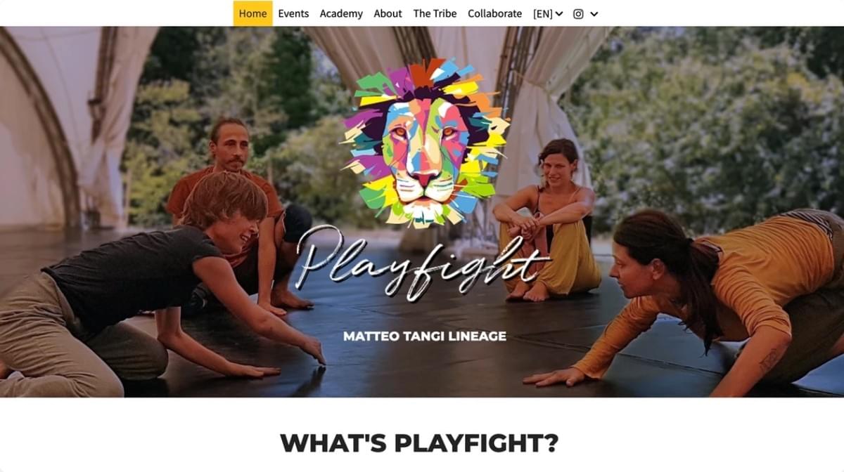 Playfight-website