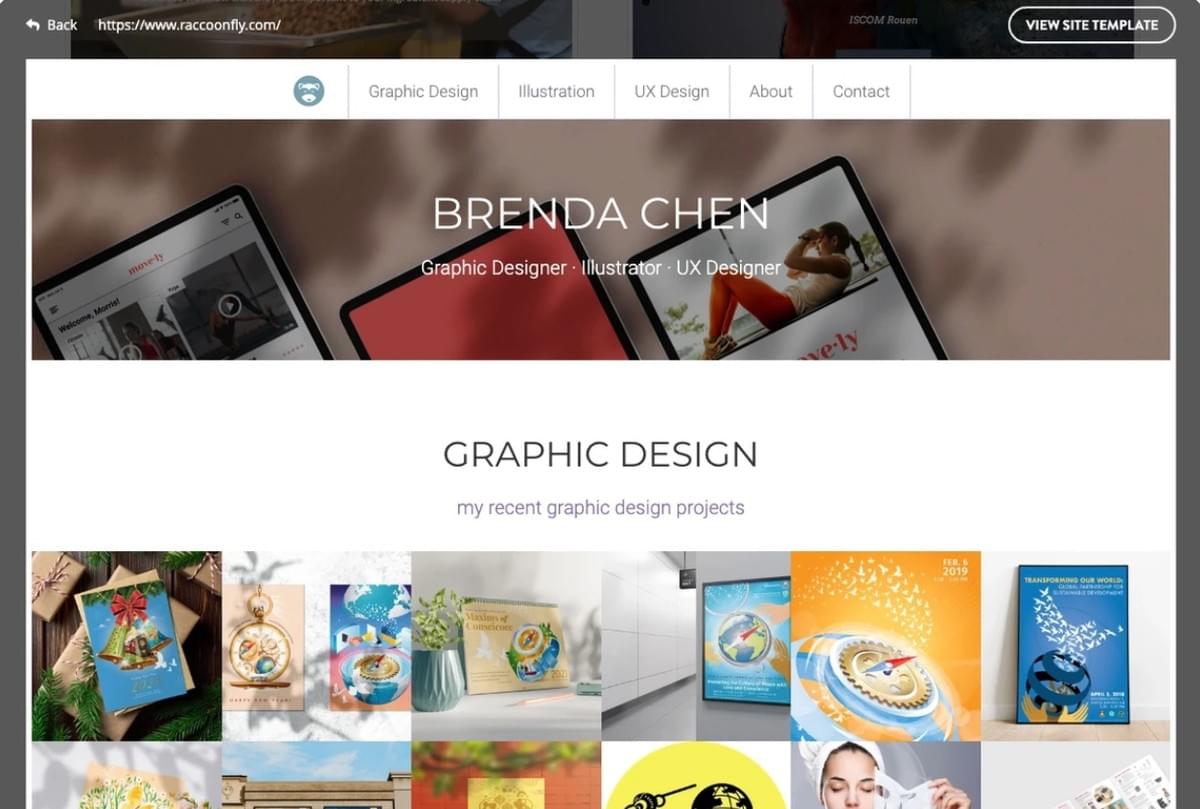 Website van Raccoon Fly met domeinnaamprivacy