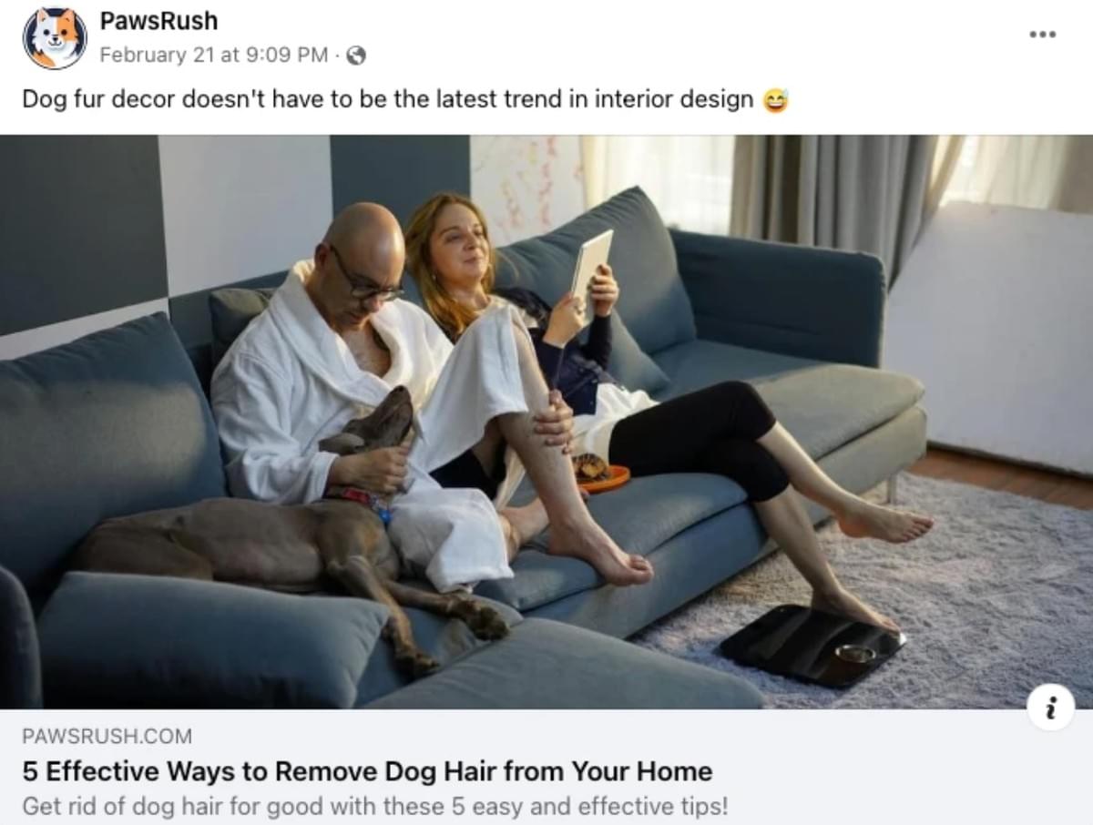 Social Share Bild von der Website eines Strikingly-Nutzers