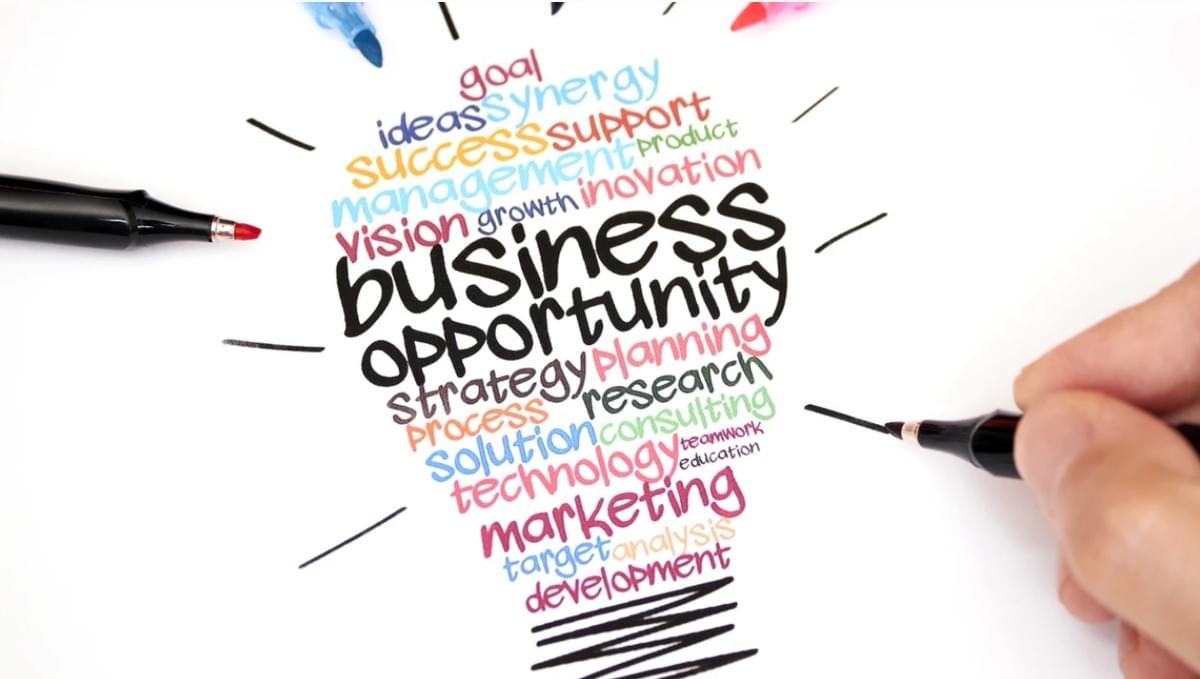 Top 15 Winstgevende Zakelijke Kansen in 2024