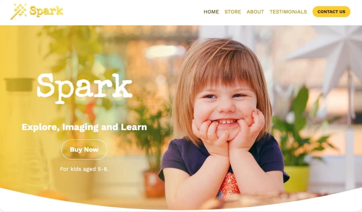 Spark Template van Strikingly