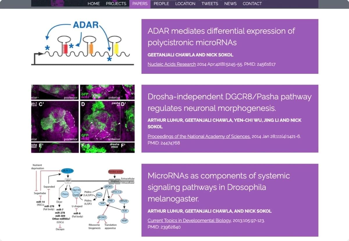 Het rapportageproces stroomlijnen via Strikingly