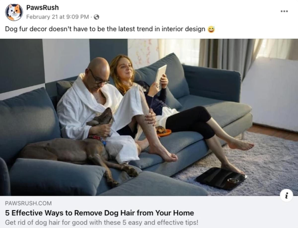 Social Share Afbeelding van een Strikingly-gebruiker's website