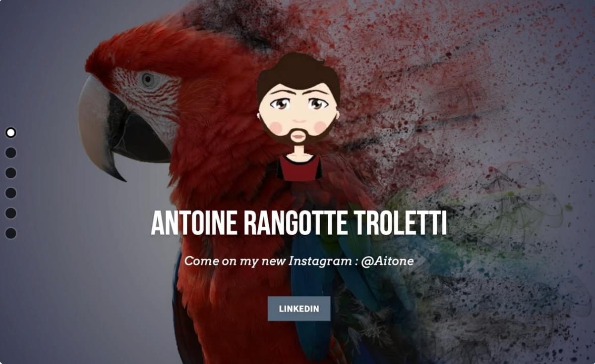 Cor do logótipo Antoine Rangotte Troletti
