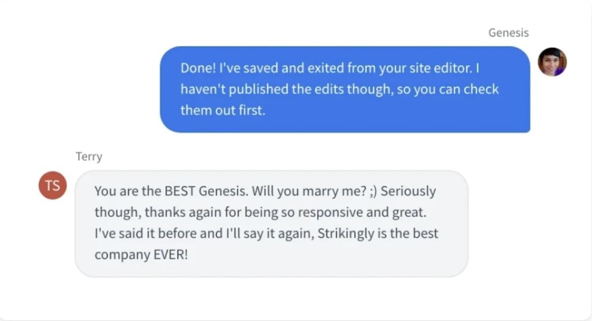 Strikingly Klantenondersteuning Chat