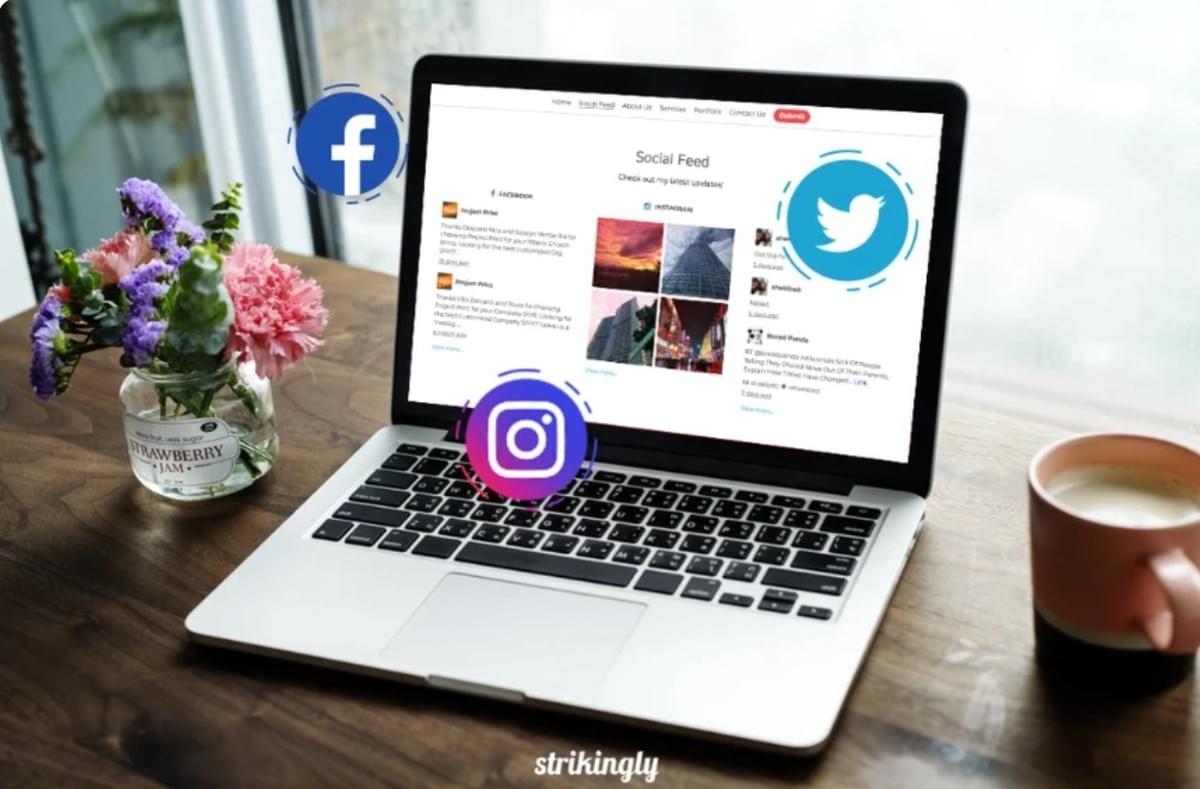 Strikingly Social Feeds Sectie