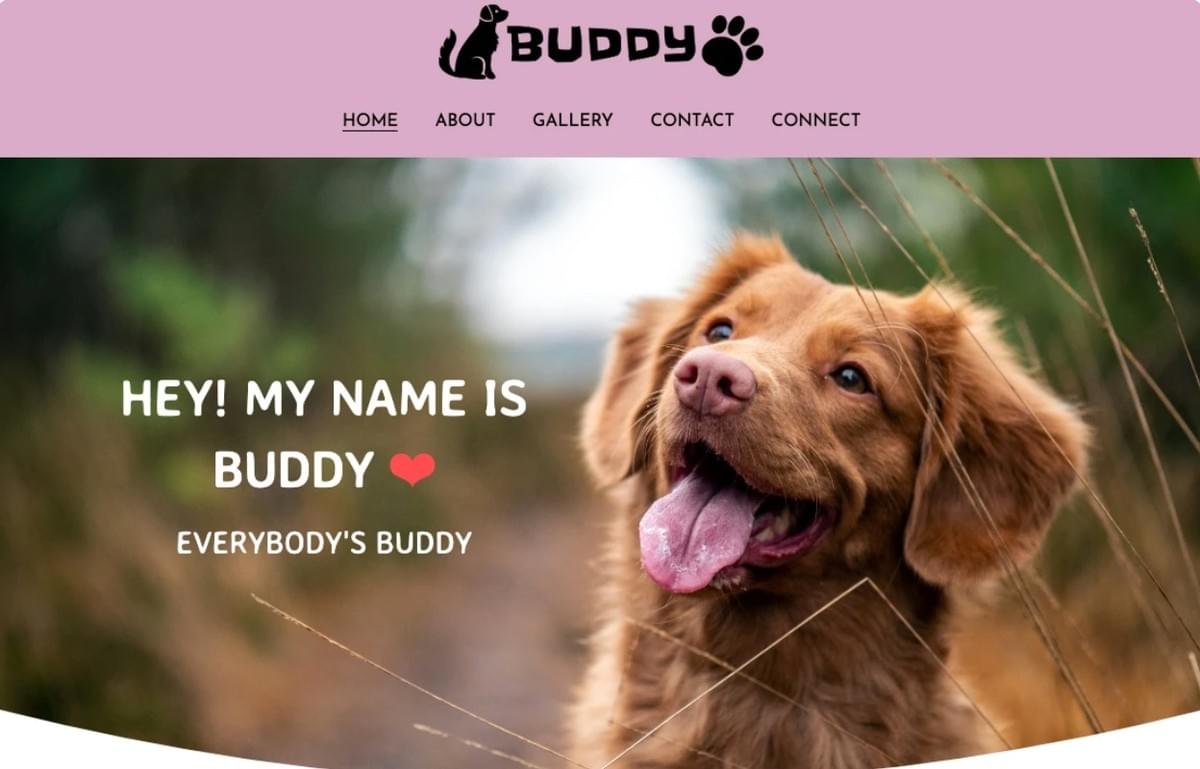 Buddy-sjabloon van Strikingly