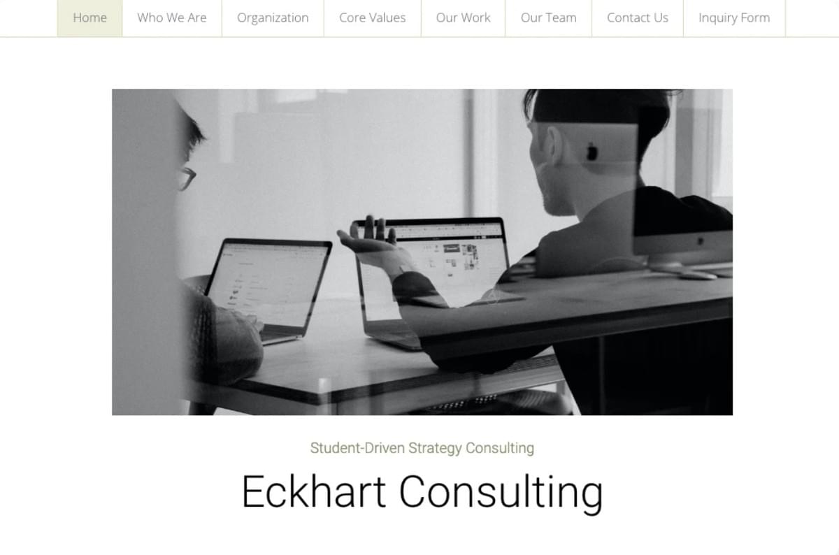Eckhart Consulting Business Sjabloon van Strikingly