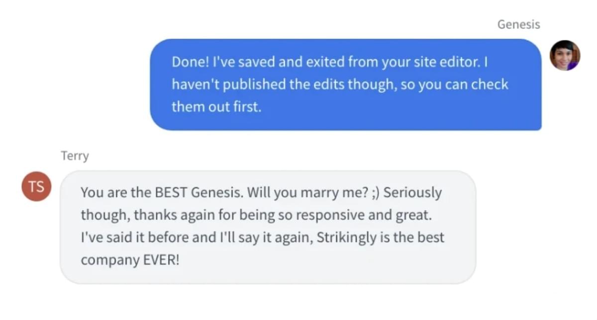 Strikingly Live Chat