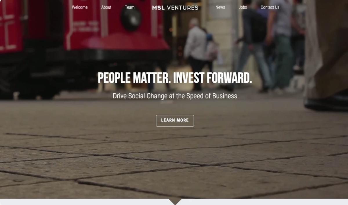 MSL Ventures sjablonen voor Strikingly